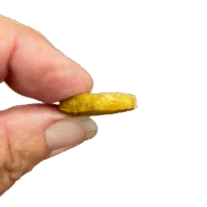 Pumpkin Spice Treat Sideview