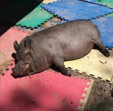 Grayson enjoying the sun when it isn't really hot outside.